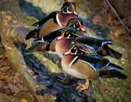 похудение после 50 лет